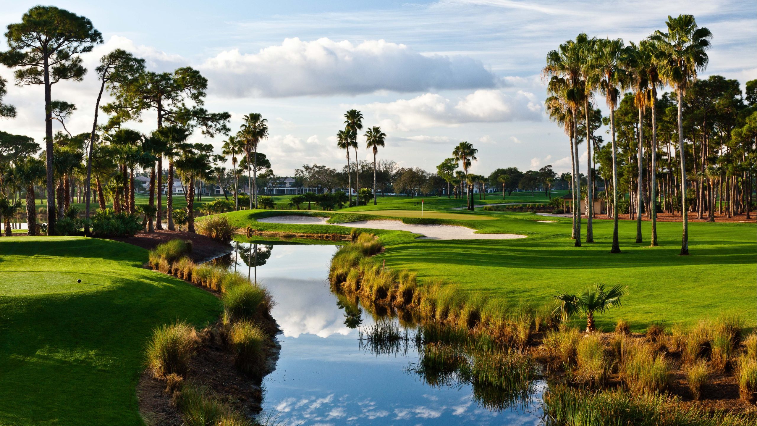 Water hazards on a florida golf course