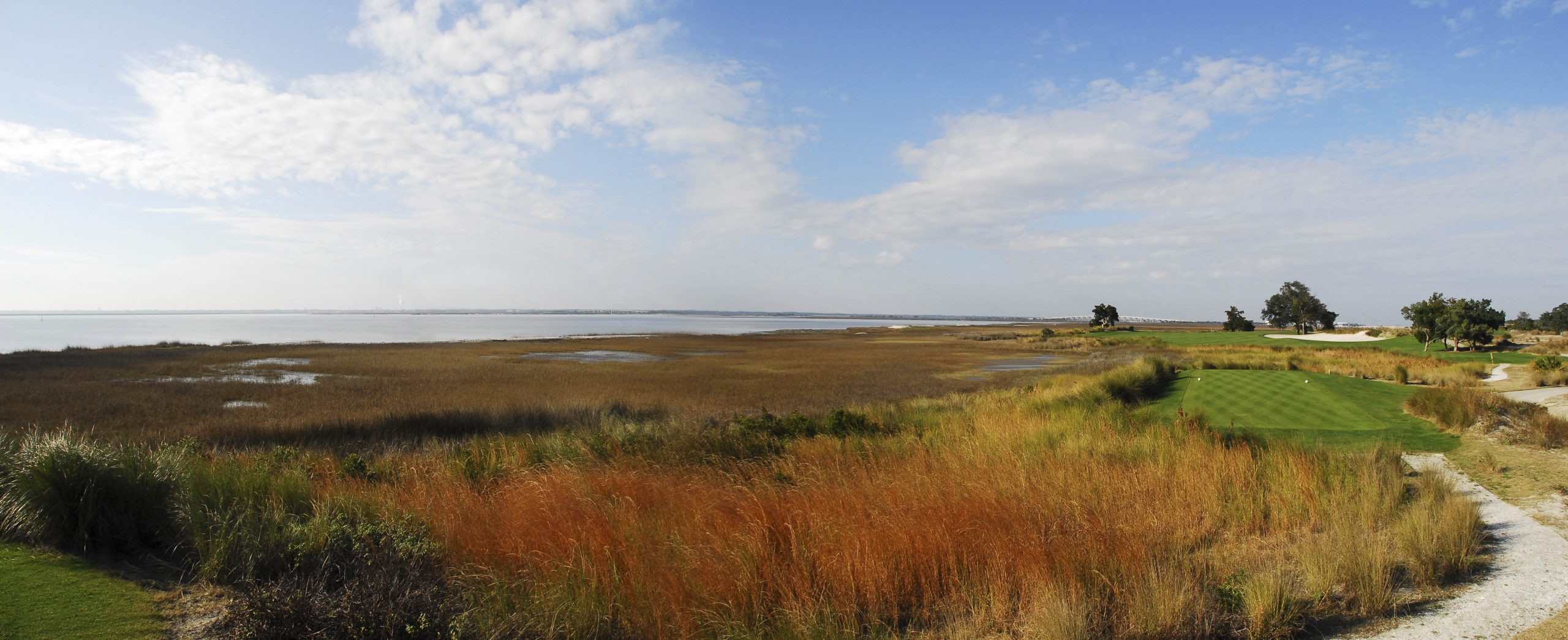 Coastal marshland at Sea Island