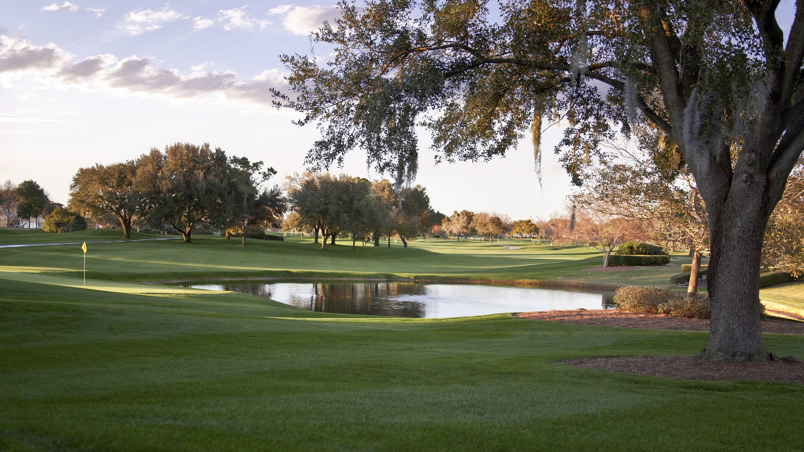 Tropical lush vegetation surrounding the course at Bay Hill