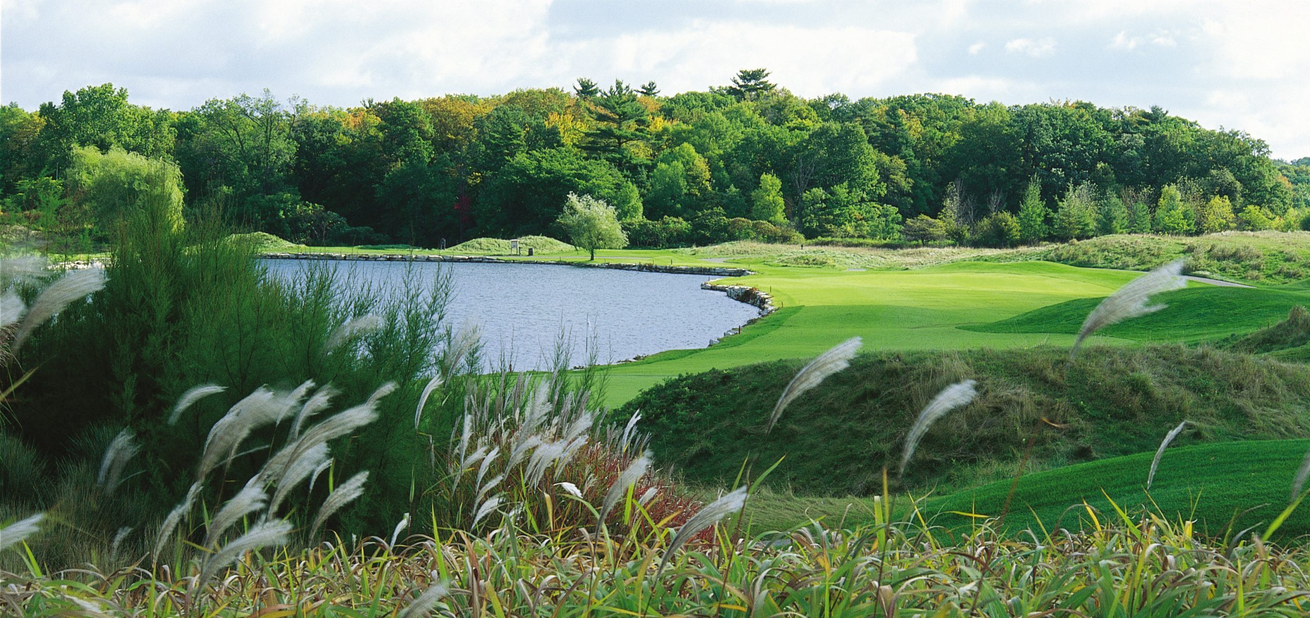 Blackwolf run golf course