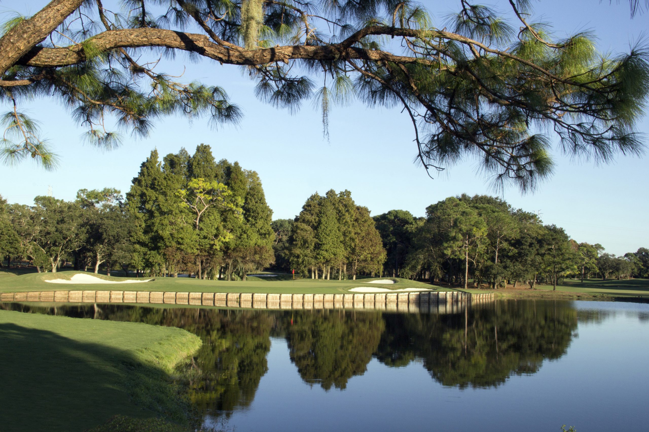 Island green on the edge of a lake at Innisbrook Golf Resort in Florida