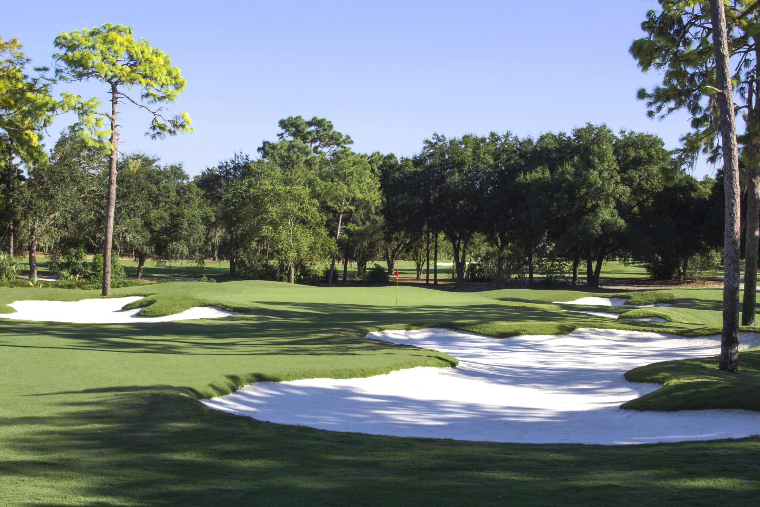 Large white sand bunkers and mottled tree shaddows on a hole at Innisbrook Golf Resort, Florida