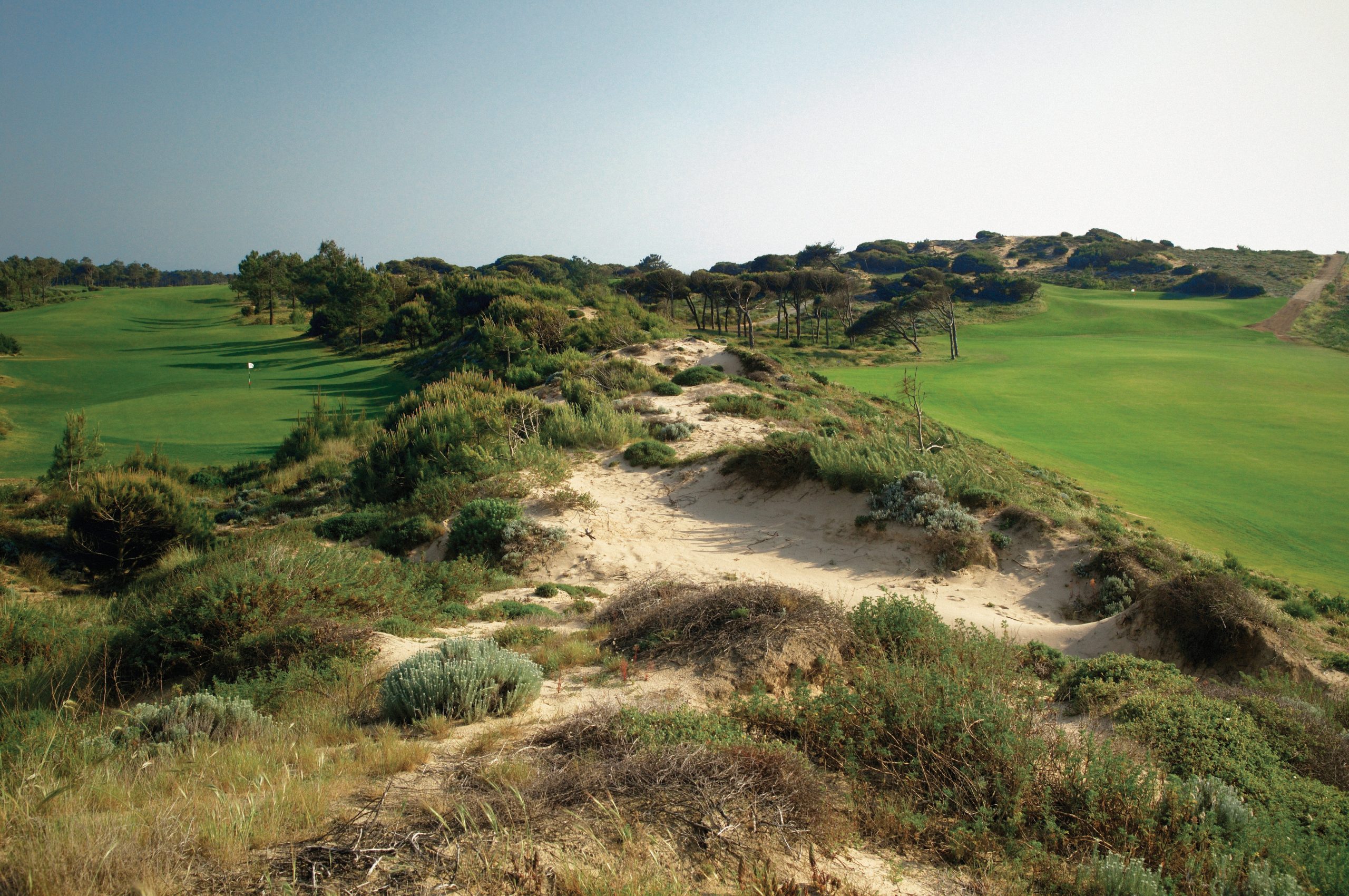 Oitavos Dunes, Lisbon