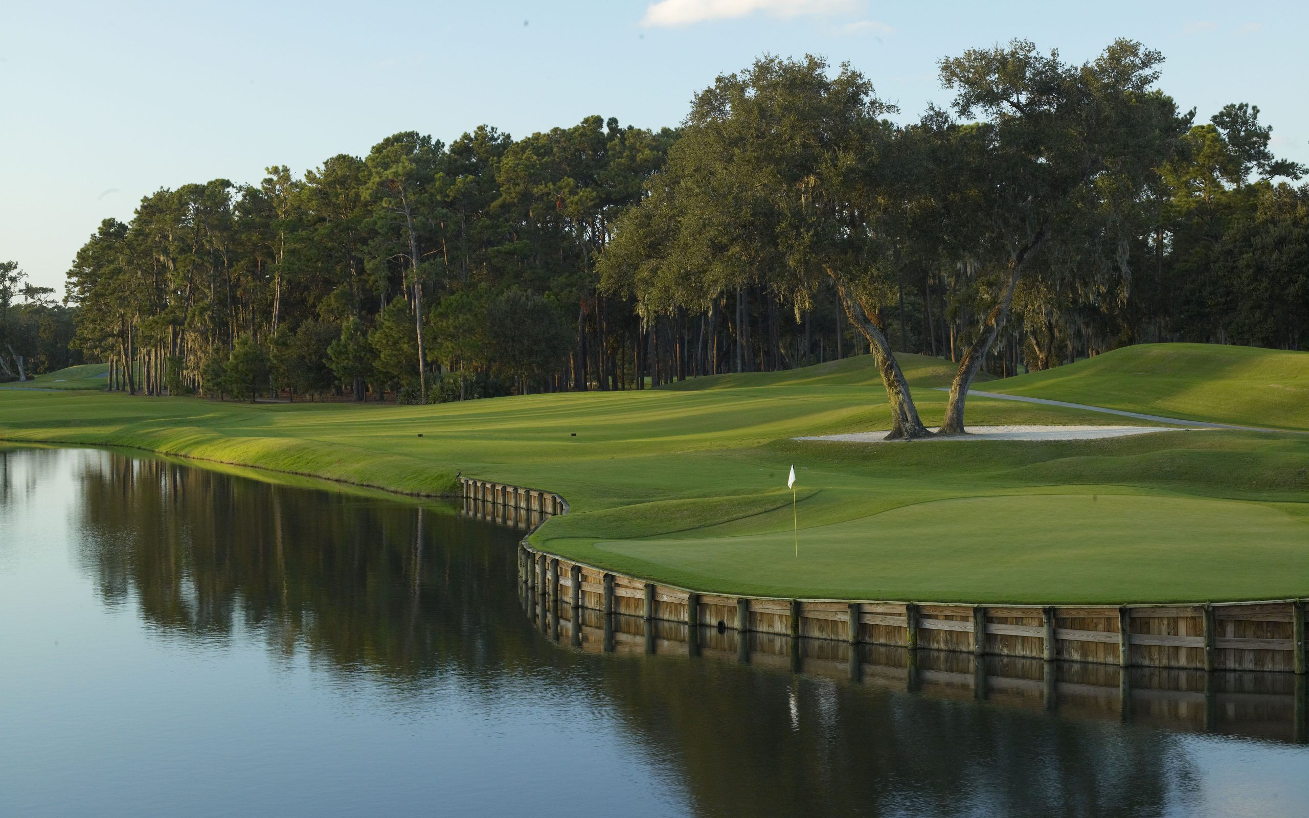 Green at TPC Sawgrass