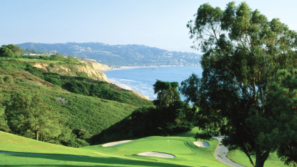 Torrey Pines Cliffs