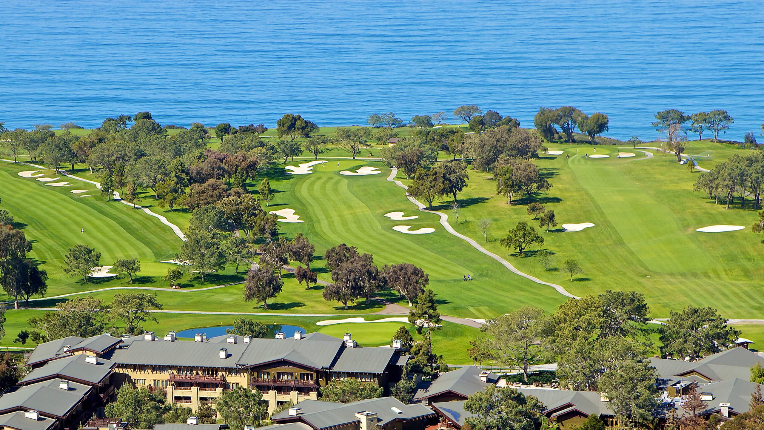 Torrey Pines California