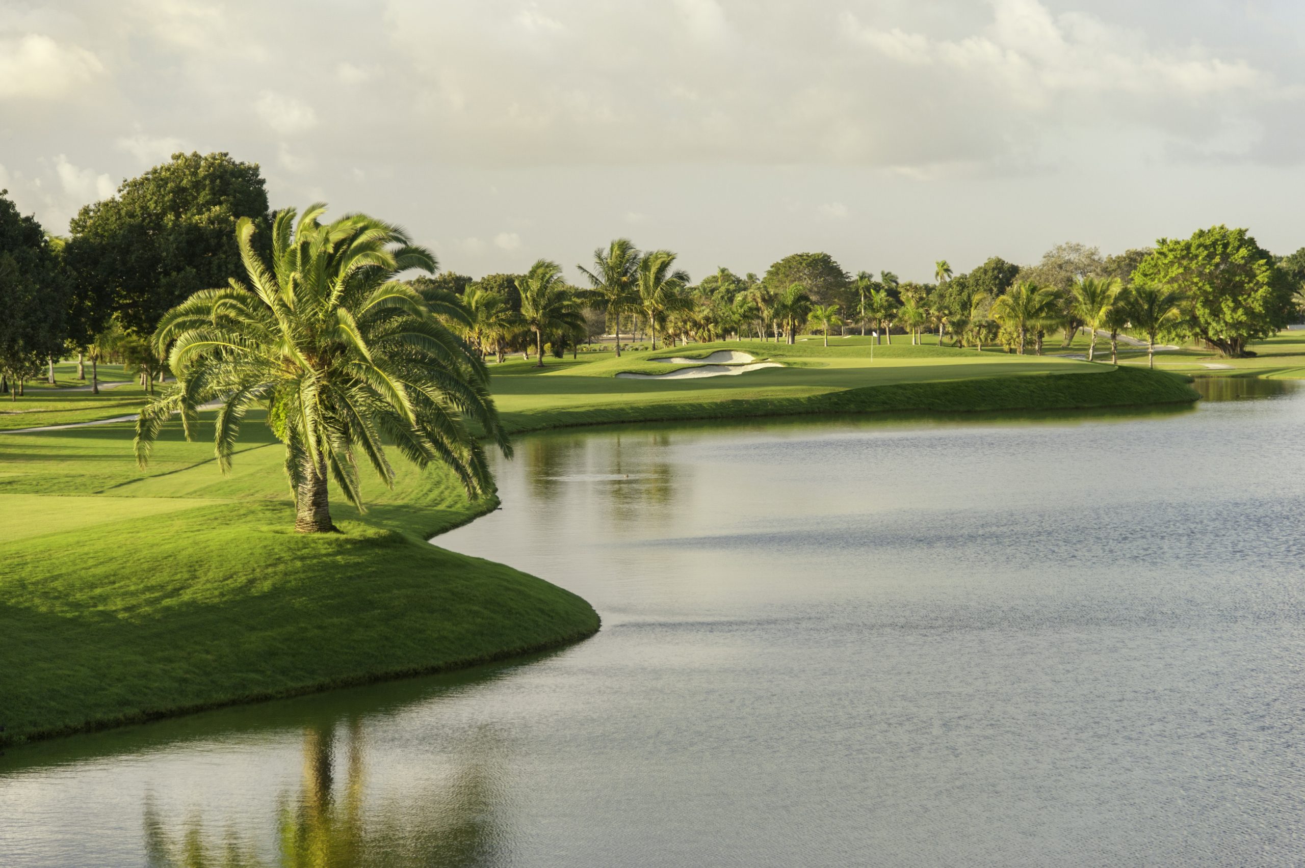 Mirrored silver lakes reflecting shoreline palm trees at Trump National Doral Miami