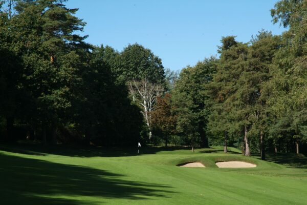 Green fairway and putting green surrounded by tall trees at Circolo Golf Villa Deste