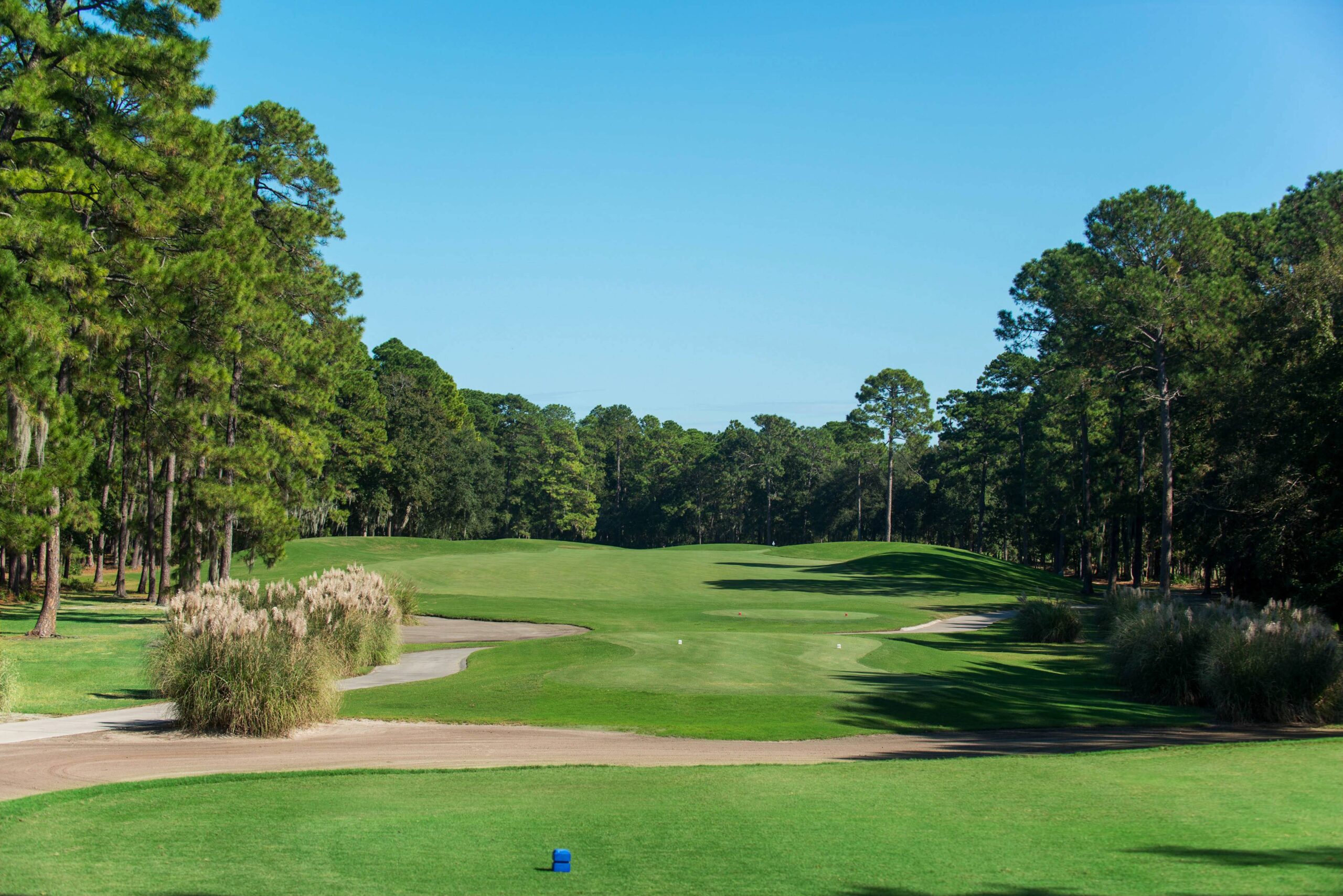 Fairway at Hilton Head National Golf Club