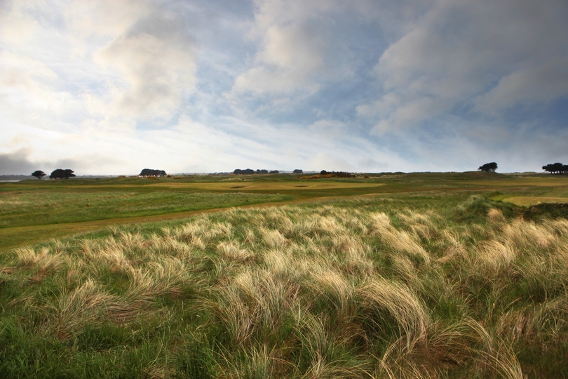 Long rough at Portmarnock golf club