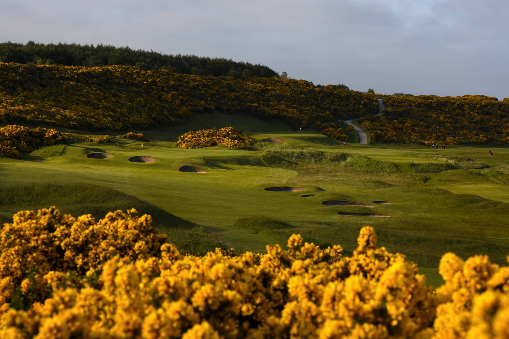 5th hole at Royal Dornoch Golf Course in Scotland