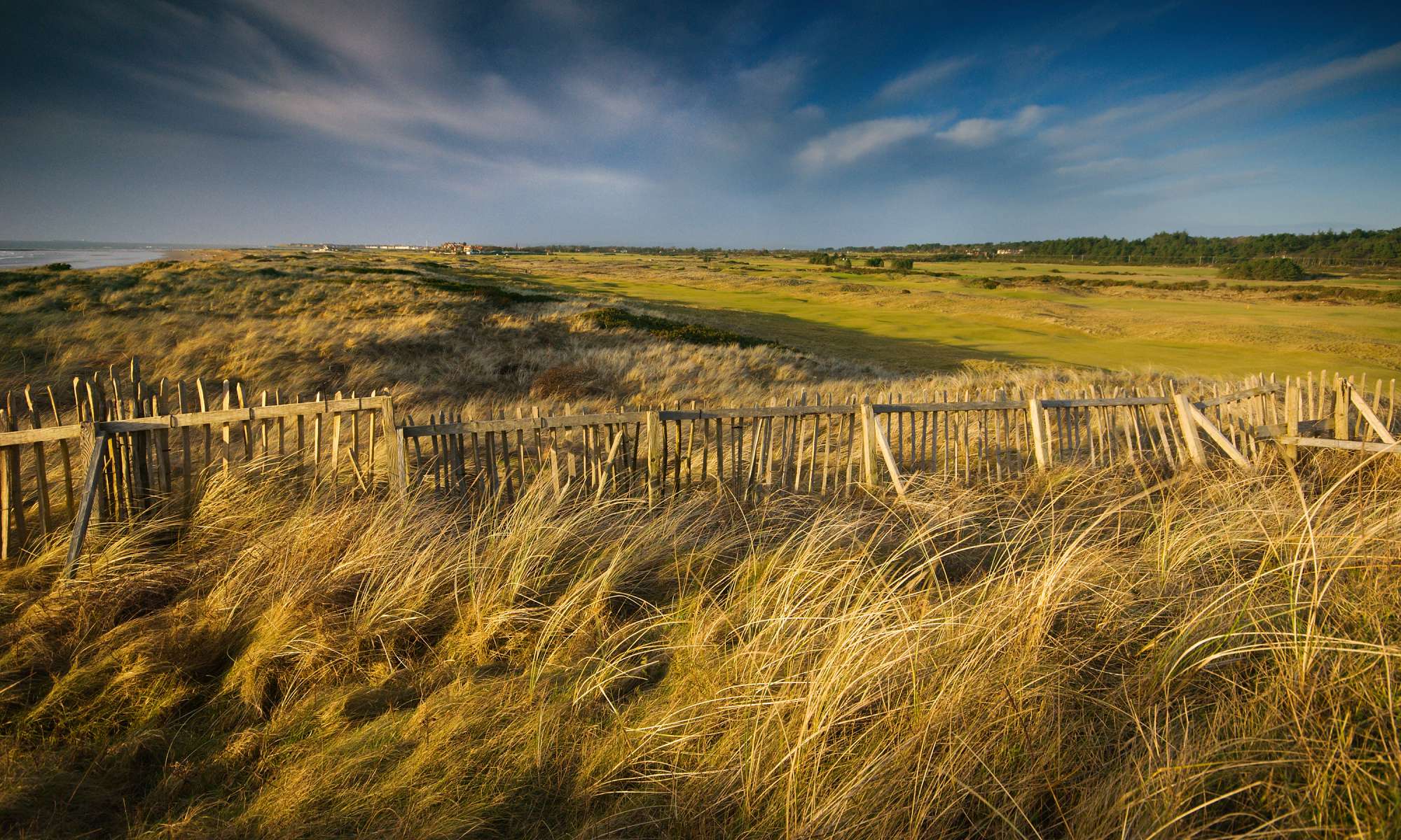 Deep rough at Royal Troon