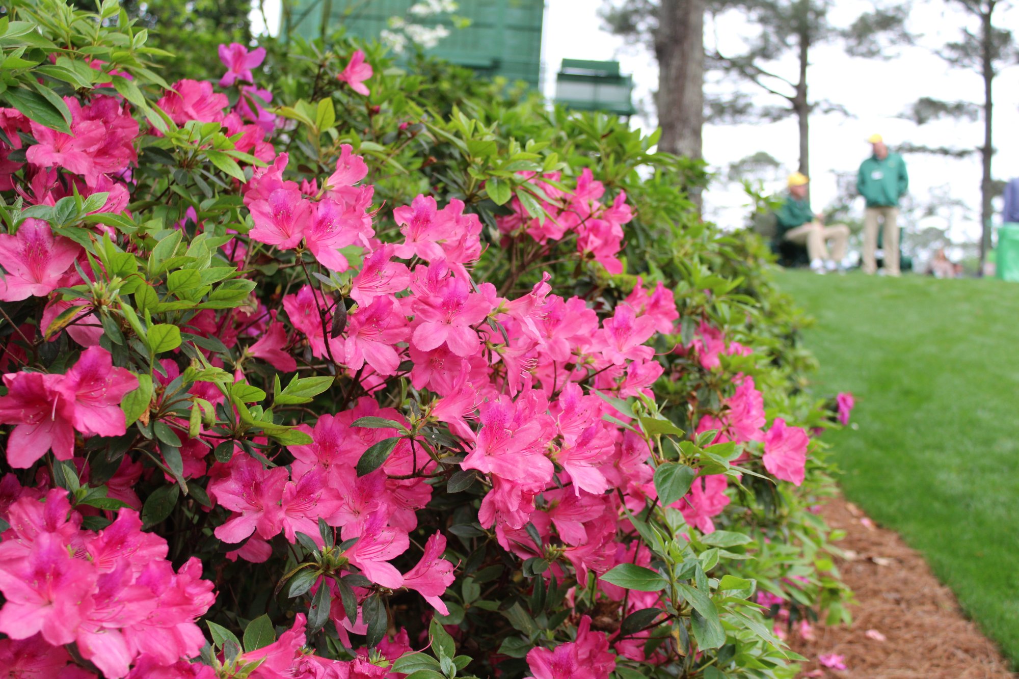 2024 Masters Tournament Packages