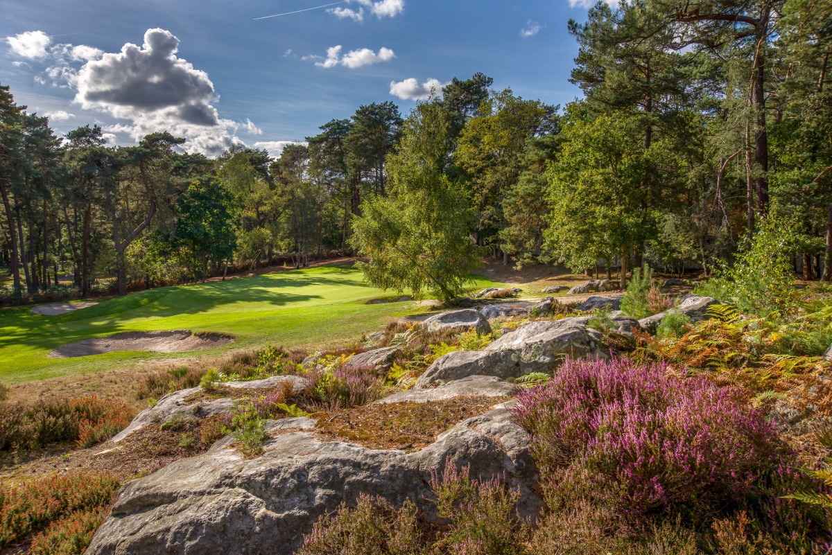 Beautiful scenery of Fontainebleau Golf Course, France