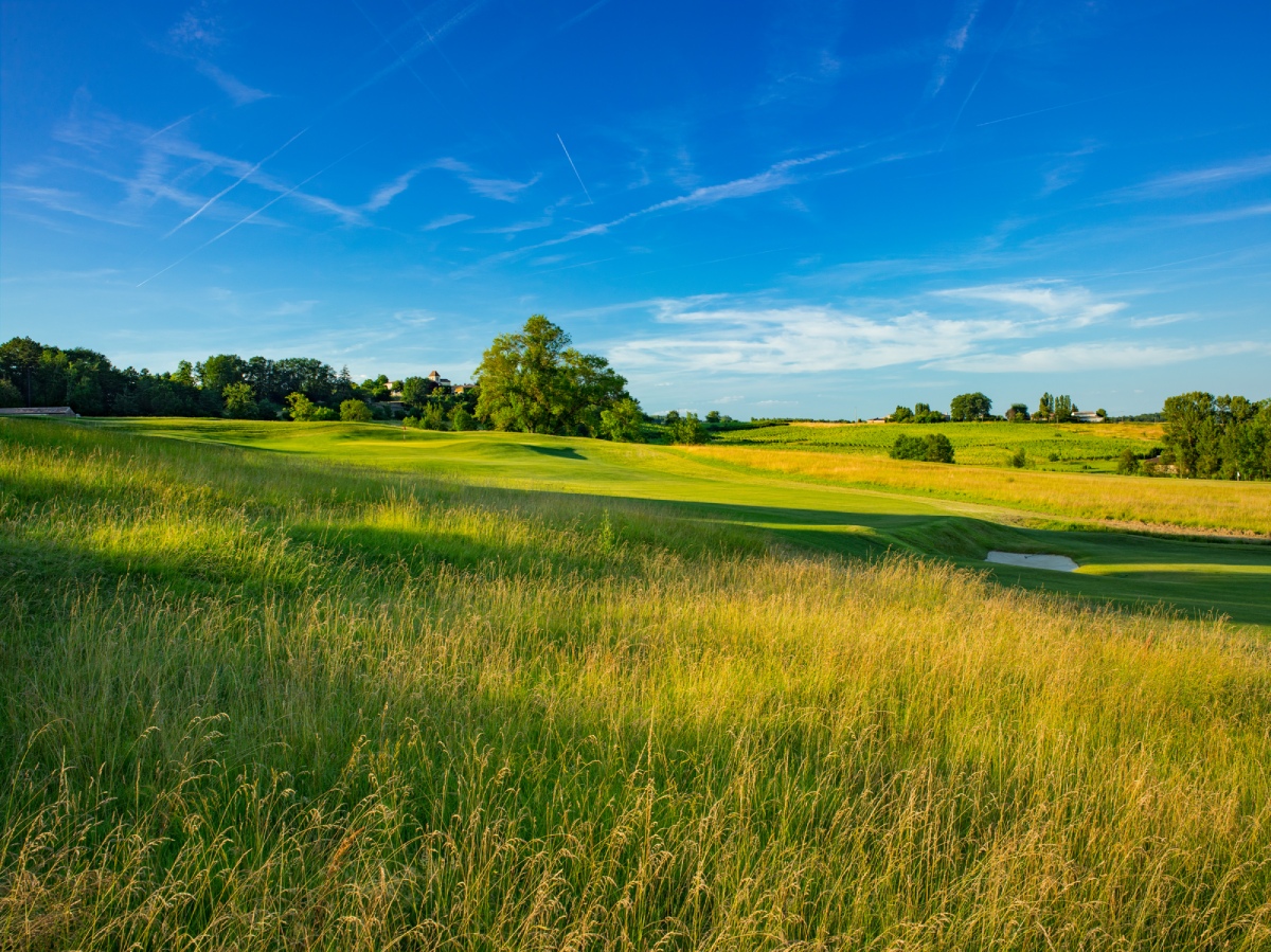 Tom Doak Golf course in France, St Emilion