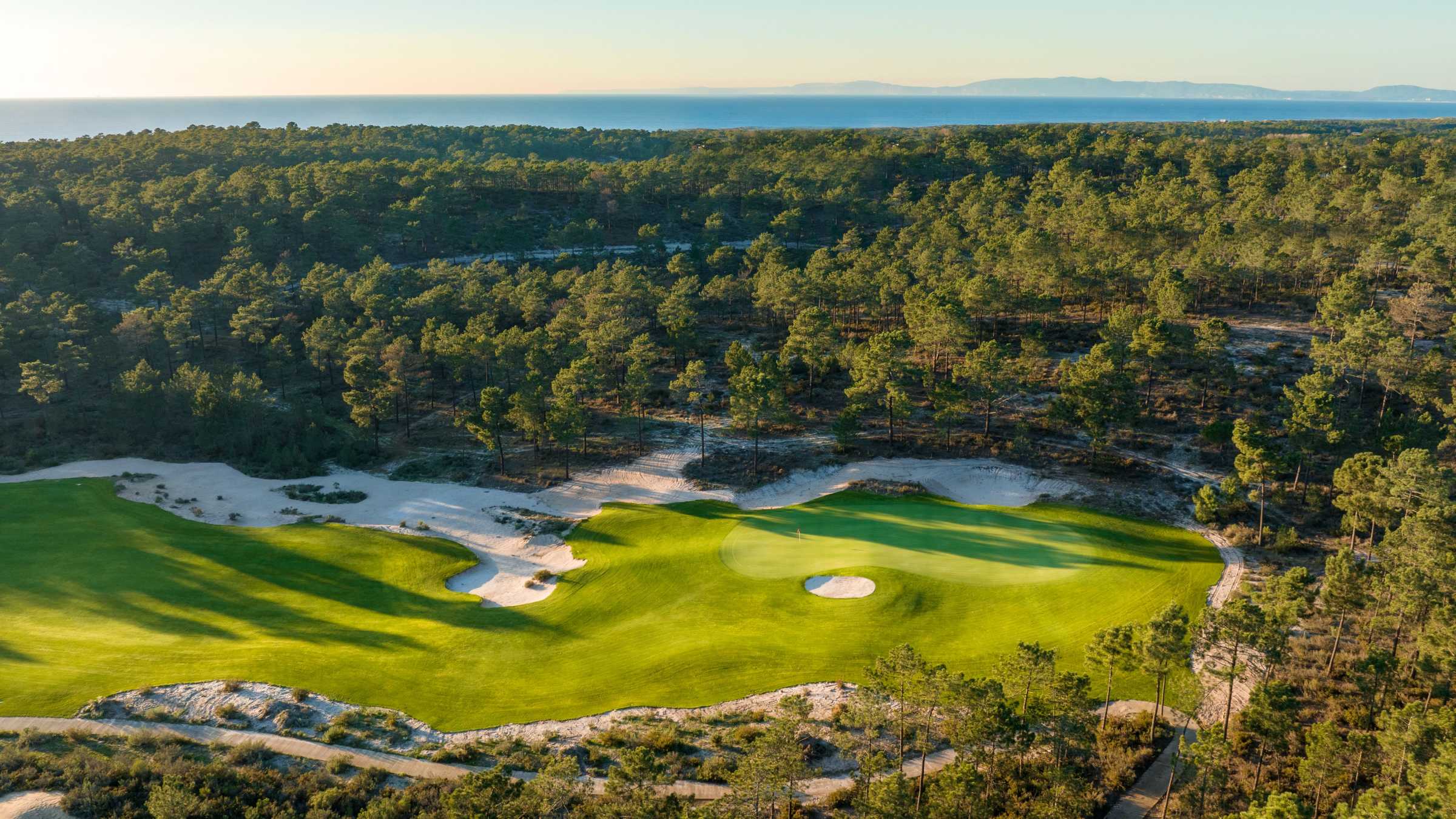 Pine Forest at Dunas Golf Course