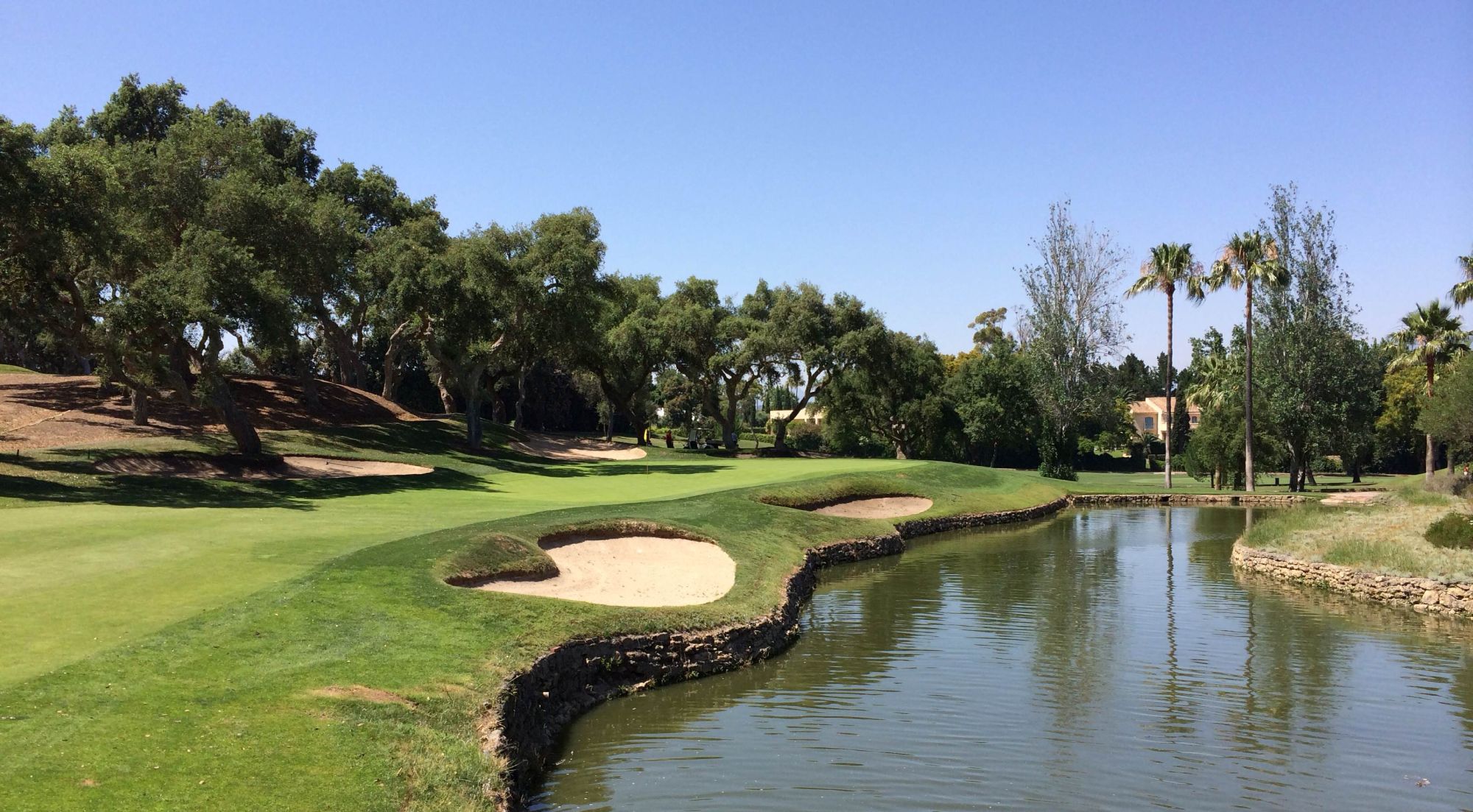 Real Club de Golf Sotogrande Hole