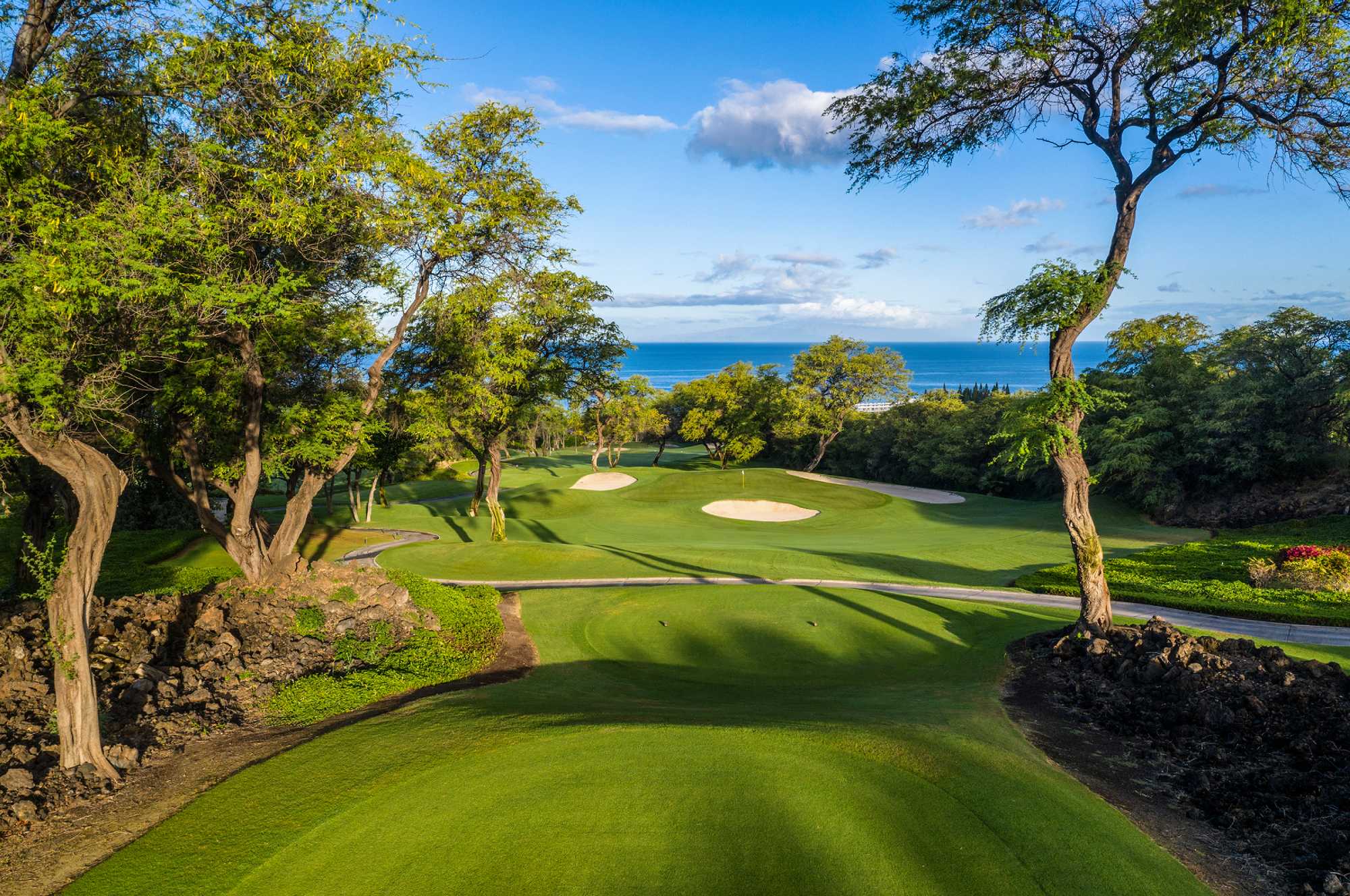 Wailea Emerald Tee Shot