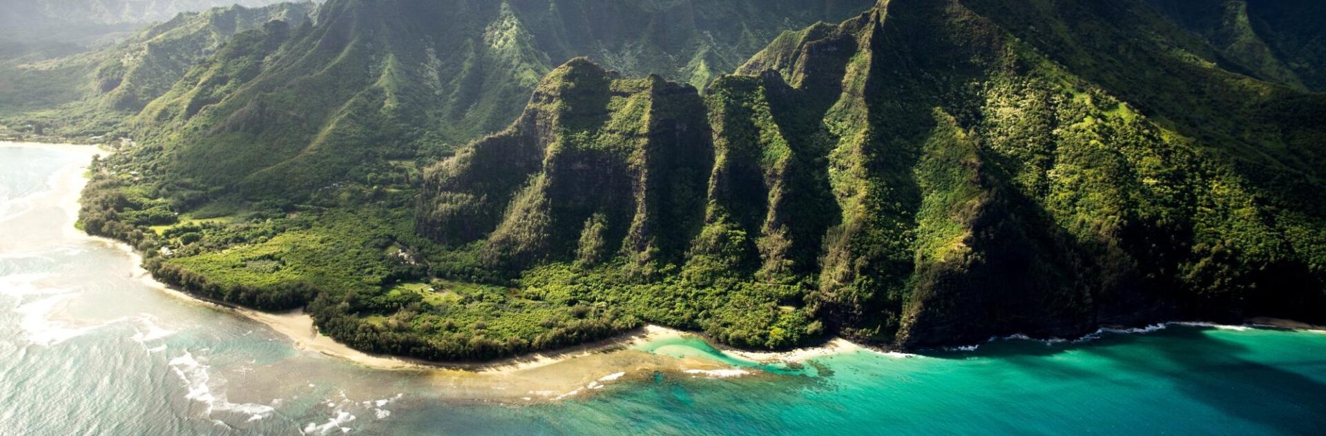 Hawaii's Volcanic Shoreline