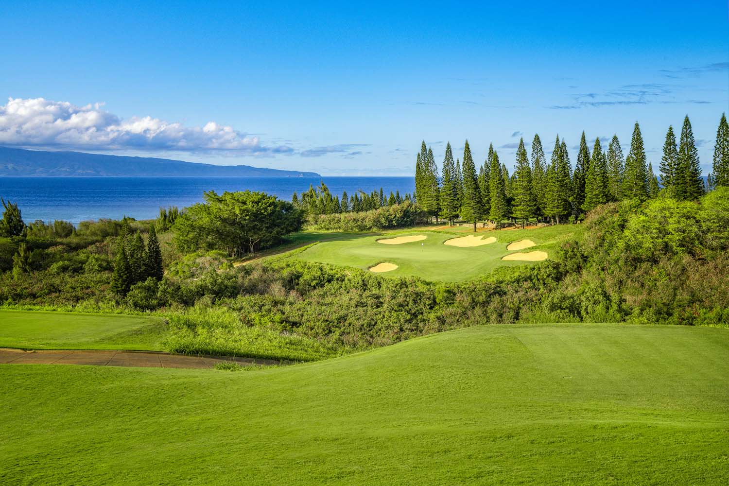 Kapalua Plantation Course