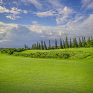 Planation Course Fairway