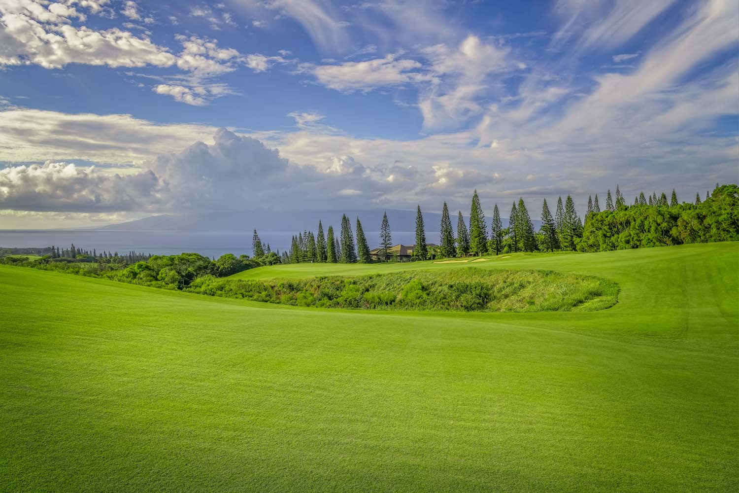 Planation Course Fairway