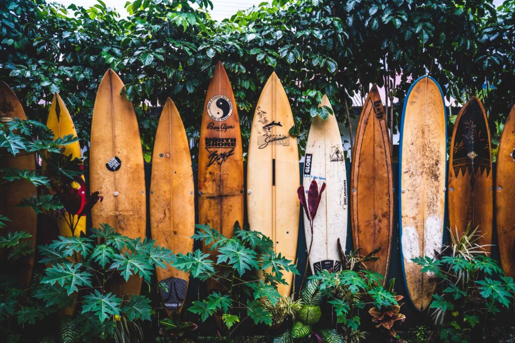 Hawaii Surfboards