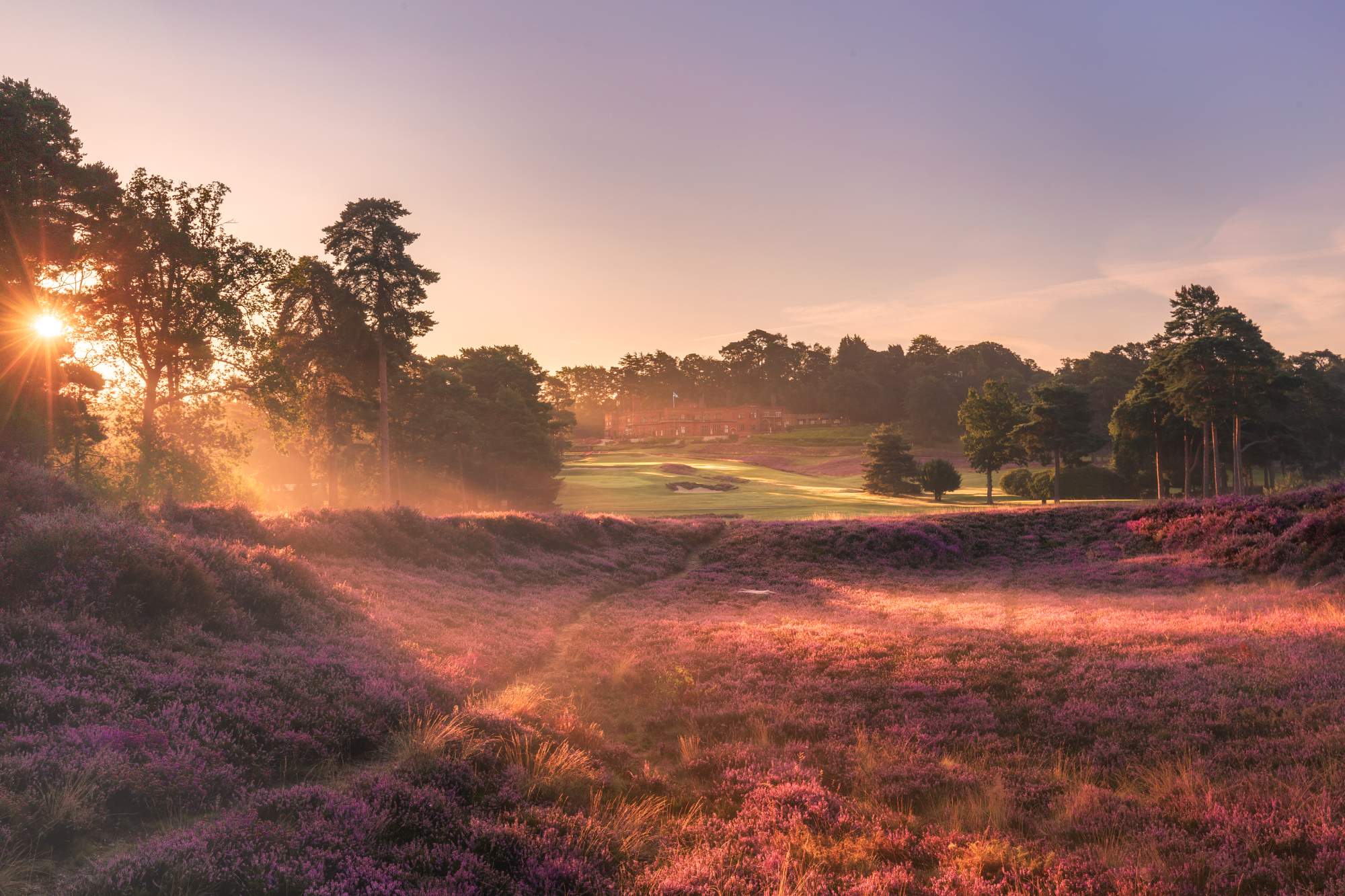 St Georges Hill 9th Hole