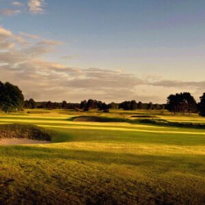 Dusk at Walton Heath