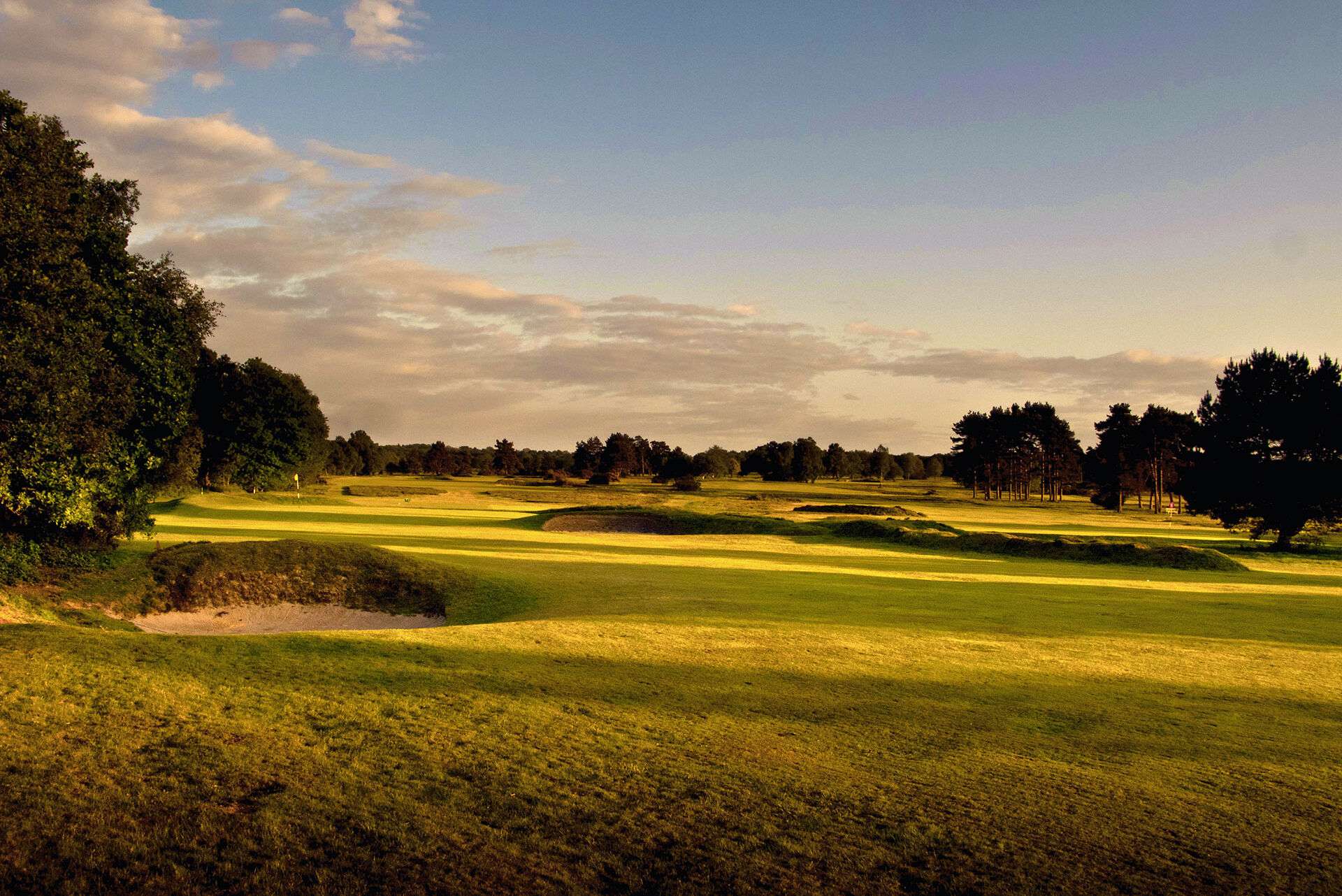 Dusk at Walton Heath