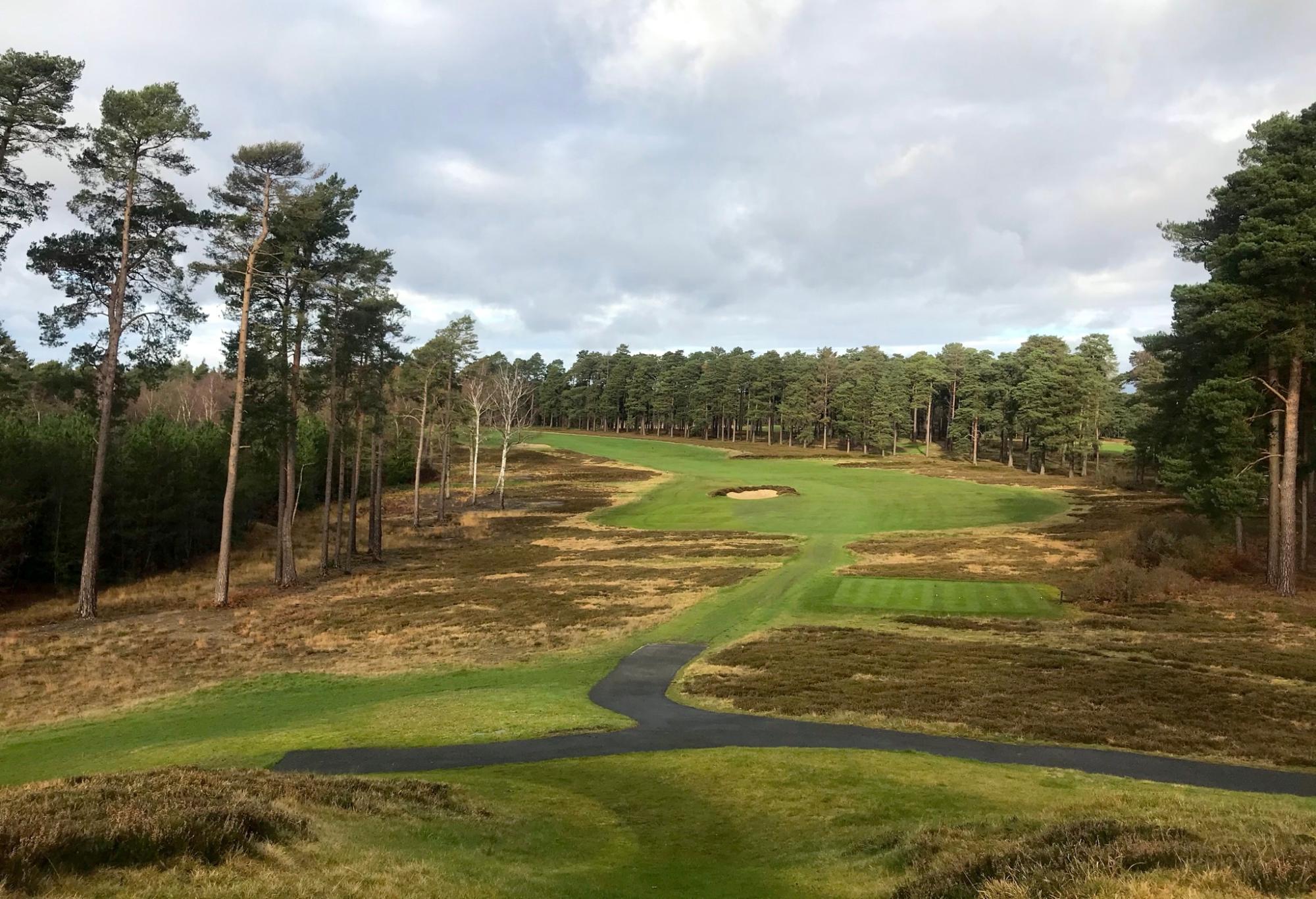 Swinley Forest Golf Club