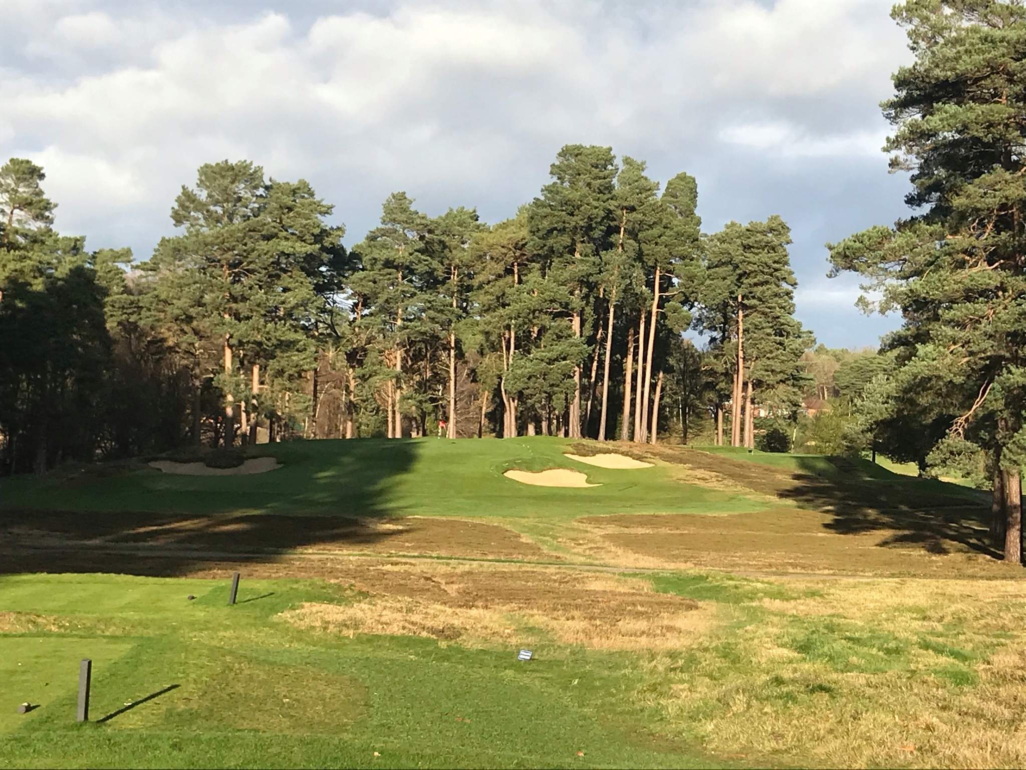 Swinley Forest England