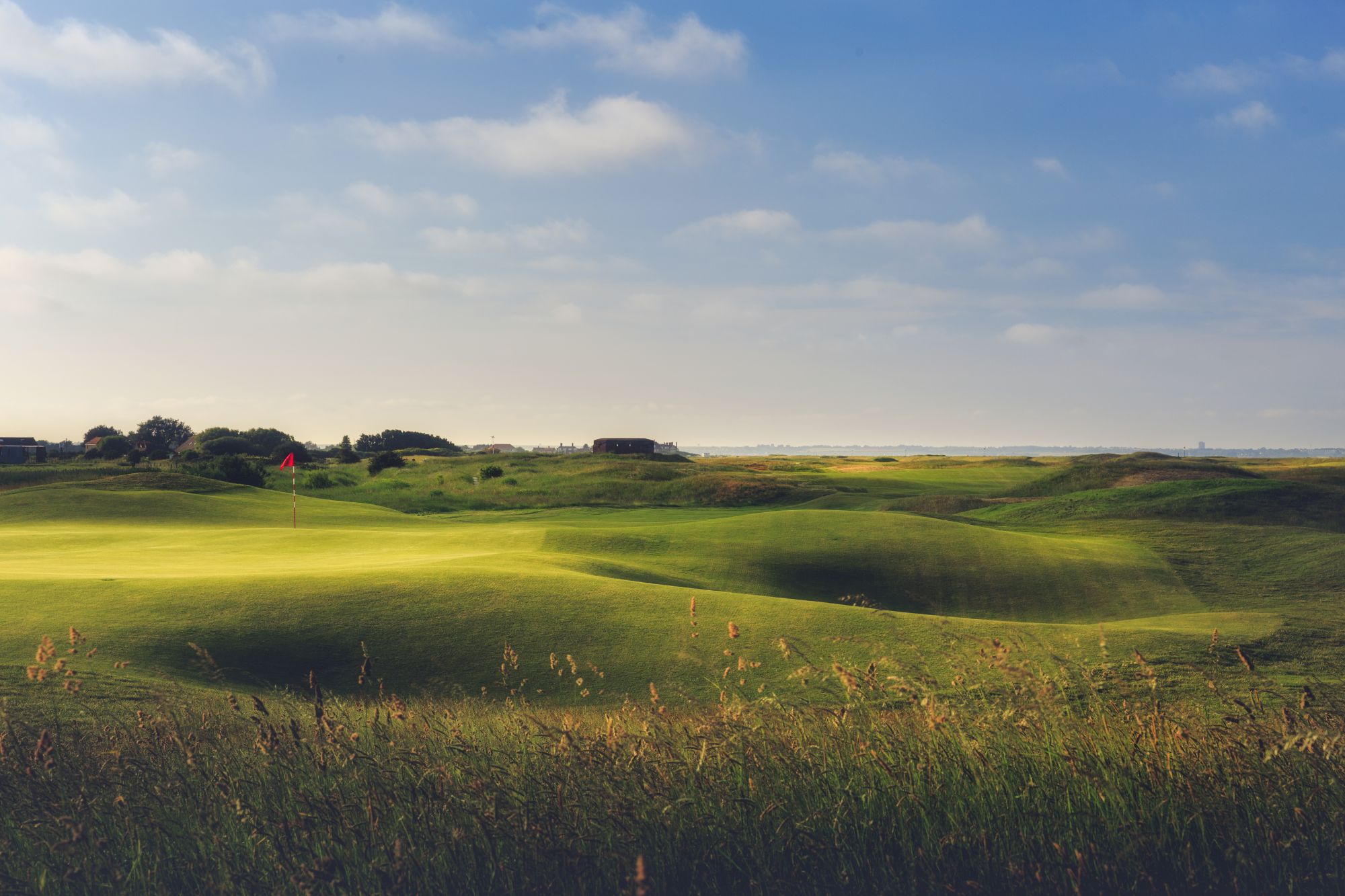 Royal Cinque Ports green