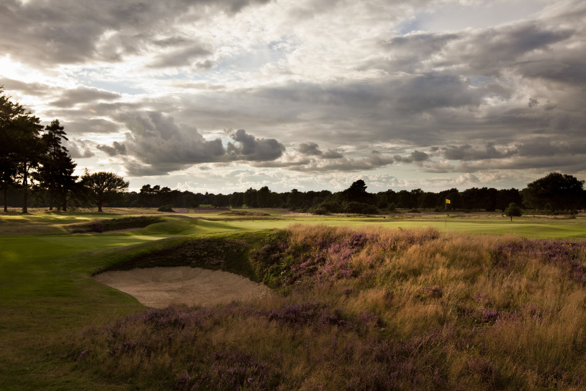 Walton Heath Golf Course