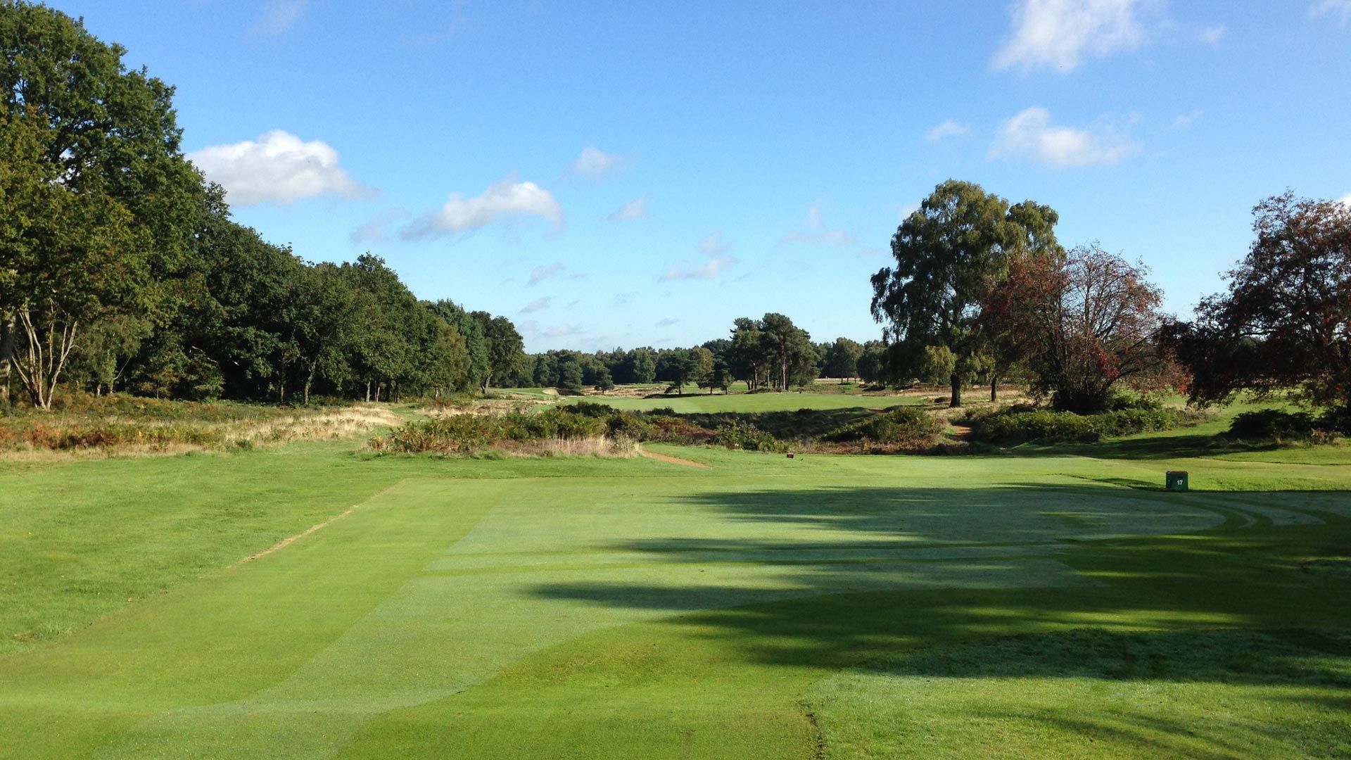 Walton Heath Fairway