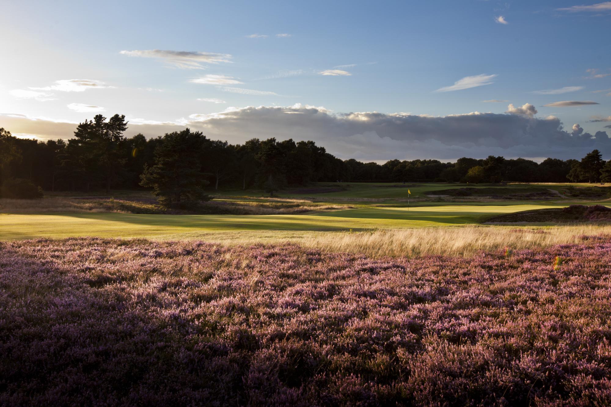 Walton Heath Golf Club