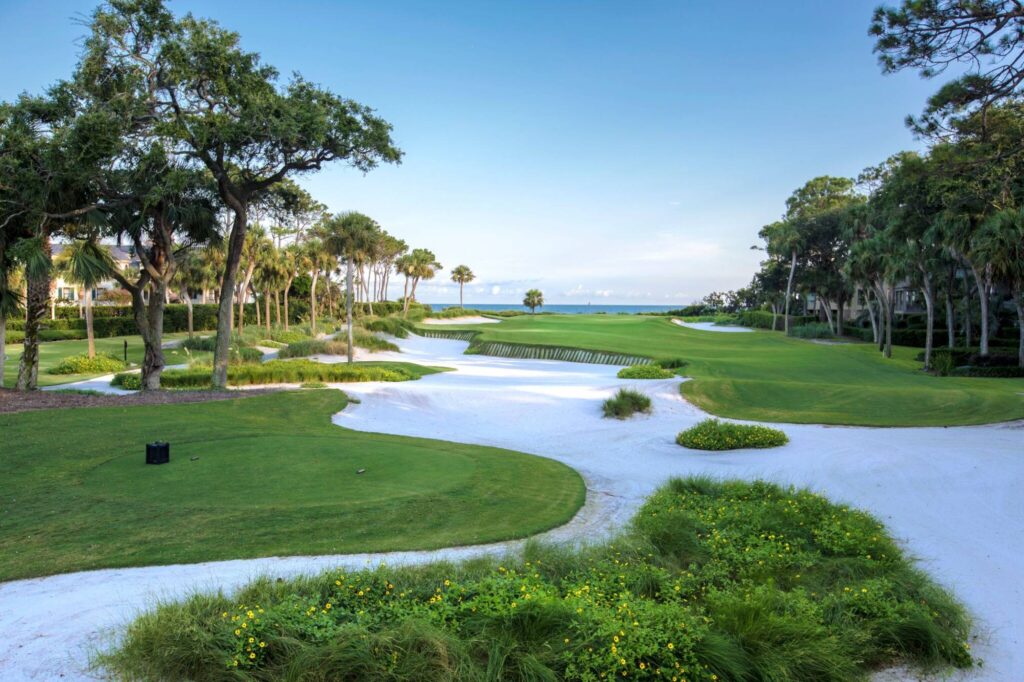 Atlantic Dunes at Sea Pines