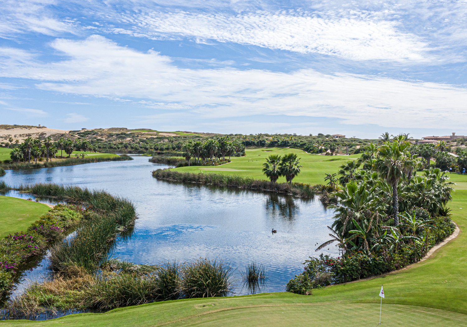 Oasis Short Course