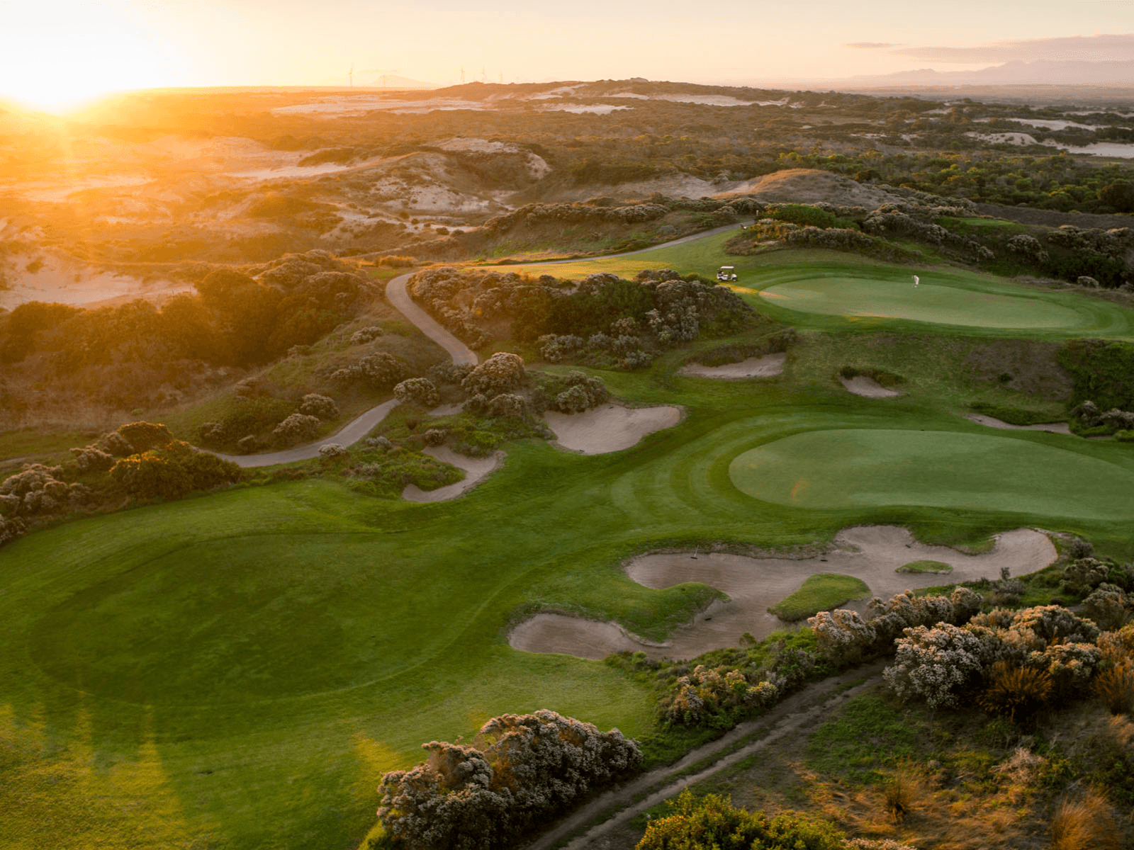 St Francis Links